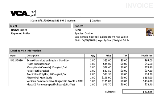 a screenshot of a vet invoice
