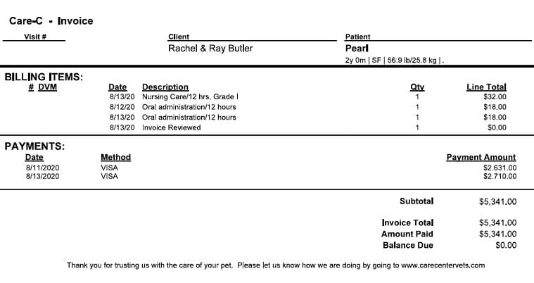 a screenshot of a vet invoice